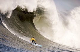 IM电竞体育-西亚卡姆在FPX比赛中问鼎冠军，败北引发热议！